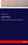 Louisa May Alcott - Shawl-Straps