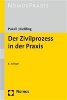 Erik Kießling, Friedric Pukall, Friedrich Pukall - Der Zivilprozess in der Praxis