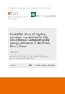 Hejuan Liu - Numerical study of physico- chemical interactions for CO2 sequestration and geothermal energy utilization in the Ordos Basin, China