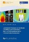 Omid Manouchehr Feroughi - Laserinduzierte Fluoreszenz zur abbildenden In-situ-Messung der Gastemperatur, Eisen- und Siliziumoxidkonzentration in Nanopartikelsynthesereaktoren