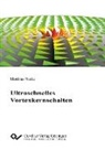 Matthias Noske - Ultraschnelles Vortexkernschalten