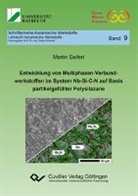 Martin Seifert, Walter Krenkel - Entwicklung von Multiphasen-Verbundwerkstoffen im System Nb-Si-C-N auf Basis partikelgefüllter Polysilazane