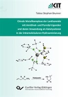 Tobias Brunner, Tobias Stephan Brunner - Chirale Metallkomplexe der Lanthanoide mit Amidinat- und Pyrrolyl-Liganden und deren Anwendung als Katalysatoren in der intramolekularen Hydroaminierung
