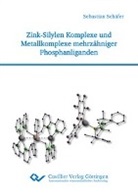 Sebastian Schäfer - Zink-Silylen Komplexe und Metallkomplexe mehrzähniger Phosphanliganden