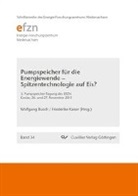 Wolfgan Busch, Wolfgang Busch, Kaiser, Friederike Kaiser - Pumpspeicher für die Energiewende - Spitzentechnologie auf Eis?