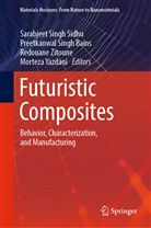 Preetkanwal Singh Bains, Sarabjeet Singh Sidhu, Preetkanwa Singh Bains, Preetkanwal Singh Bains, Morteza Yazdani, Redouane Zitoune... - Futuristic Composites