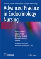Cecili Follin, Cecilia Follin, Ashley Grossman, Sofia Llahana, Christine Yedinak, Christine G. Yedinak... - Advanced Practice in Endocrinology Nursing, 2 Teile