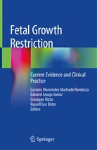 Edwar Araujo Júnior, Edward Araujo Júnior, Russell Lee Deter, Luciano Marcondes Machado Nardozza, Giuseppe Rizzo, Giuseppe Rizzo et al - Fetal Growth Restriction