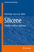Guy le Lay, Le Lay, Le Lay, Guy Le Lay, Patric Vogt, Patrick Vogt - Silicene