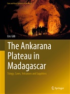 Eric Gilli - The Ankarana Plateau in Madagascar