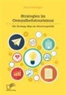 Jens Schnügger - Strategien im Gesundheitstourismus. Die Strategy Map als Steuerungshilfe