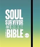 New International Version, New International Version, New International Version - NIV Soul Survivor Journalling Bible