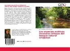 Juan Francisco Porcile Maderni - Las especies exóticas invasoras leñosas del bosque natural uruguayo