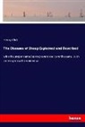 Henry Clok - The Diseases of Sheep Explained and Described