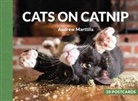 Andrew Marttila - Cats on Catnip: 20 Postcards