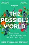 Liese Schwarz O'Halloran, Liese O'Halloran Schwarz, Liese O'Halloran Schwarz - The Possible World