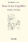 Joachim Klinger - Reise in das Ungefähre