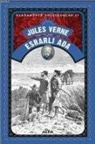 Jules Verne - Esrarli