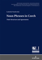 Ludmila Veselovská, Peter Kosta - Noun Phrases in Czech