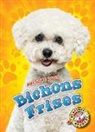 Lindsay Shaffer - Bichons Frises