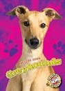Lindsay Shaffer - Greyhounds