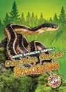 Rebecca Sabelko - Common Garter Snakes