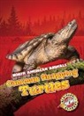 Rebecca Sabelko - Common Snapping Turtles