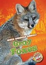 Rebecca Sabelko - Gray Foxes