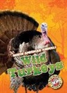 Rebecca Sabelko - Wild Turkeys