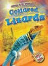 Patrick Perish - Collared Lizards