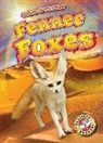 Patrick Perish - Fennec Foxes