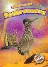 Patrick Perish - Roadrunners