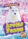 Rebecca&#x20;Pettiford&#x20;-&#x20;Arctic&#x20;Foxes