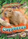 Rachel Grack - Capybaras