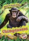 Rachel Grack - Chimpanzees