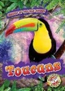 Rachel Grack, Rachel A. Koestler-Grack - Toucans