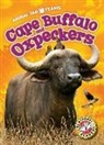 Kari Schuetz - Cape Buffalo and Oxpeckers