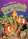Kari Schuetz - Clownfish and Sea Anemones