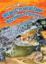 Kari Schuetz - Nile Crocodiles and Egyptian Plovers