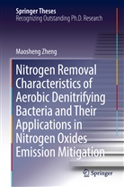 Maosheng Zheng - Nitrogen Removal Characteristics of Aerobic Denitrifying Bacteria and Their Applications in Nitrogen Oxides Emission Mitigation