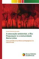 Gicele Faissal de Carvalho - A educação ambiental, o Rio Paquequer e a comunidade Beira Linha