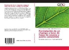 Dianny Rivera Figuera, Kristin Morales Castañeda, Kristina Morales Castañeda - Formulación de un champú a base de hojas de cayena y aceite comestible