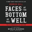 Derrick Bell, Brad Raymond - Faces at the Bottom of the Well: The Permanence of Racism (Audio book)