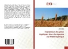Catérina Marè, Fahim Neffar, Fahima Neffar - Expression de gènes impliqués dans la réponse au stress hydrique