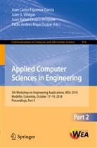 Juan Carlos Figueroa-Garcia, Juan Carlos Figueroa-García, Jua G Villegas, Juan G Villegas, Pablo Andres Maya Duque, Juan Rafael Orozco... - Applied Computer Sciences in Engineering
