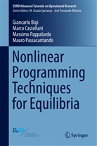 Giancarl Bigi, Giancarlo Bigi, Marc Castellani, Marco Castellani, Mass Pappalardo, Massimo Pappalardo... - Nonlinear Programming Techniques for Equilibria