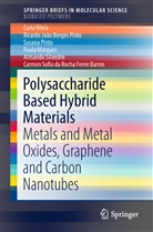 Carmen Sofia da Rocha Freire Barros, Carmen Sofia da Rocha Freire Barros, Paula Marques, Ricardo João Borge Pinto, Ricardo João Borges Pinto, Su Pinto... - Polysaccharide Based Hybrid Materials