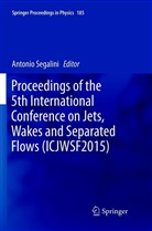 Antoni Segalini, Antonio Segalini - Proceedings of the 5th International Conference on Jets, Wakes and Separated Flows (ICJWSF2015)