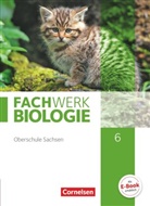 Anke Pohlmann, Ud Hampl, Udo Hampl, Ingmar Stelzig, Lysann Tessendorf, Peter Pondorf... - Fachwerk Biologie, Oberschule Sachsen: Fachwerk Biologie - Sachsen - 6. Schuljahr