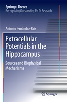 Antonio Fernández Ruiz - Extracellular Potentials in the Hippocampus